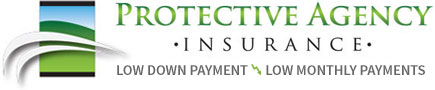 Protective Agency New Logo